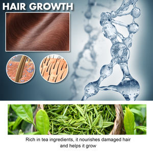 Kit <span class=keywords><strong>shampoing</strong></span> et après-<span class=keywords><strong>shampoing</strong></span> Hoegoa - Product Image 3