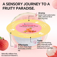 UFO Thee Zakjes Fruitthee Disc 40 Smaken Aangepaste OEM Gedroogd Fruit Infusie Watermeloen Lychee Citroen Gember Cafeïnevrij