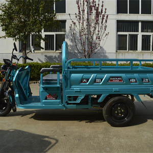 Vente en gros de tricycles électriques de 1000 W, trikes électriques, vélos électriques à 3 roues pour adultes - Product Image 3