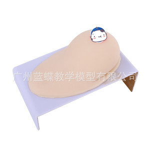 Sein artificiel en silicone souple de grande taille pour la formation des conseillères en lactation, les écoles professionnelles de services domestiques, les hôpitaux - Product Image 4