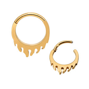 Usine prêt à expédier G23 titane cerceau Clikers Segment anneau haute poli et or bijoux corps hélice Lobe boucle d'oreille - Product Image 2