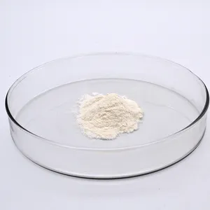 N-Cyclohexyl-2-Benzothiazoleスルフェンアミドラバー添加剤ラバーアクセラレーターCBS