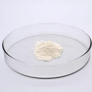 Akselerator Karet Zat Tambahan Karet Sulfenamide N-Cyclohexyl-2-Benzothiazole CBS