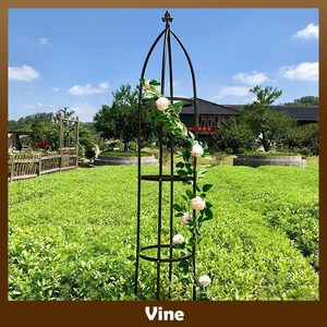 <span class=keywords><strong>Support</strong></span> de plante moderne et tendance pour <span class=keywords><strong>plantes</strong></span> <span class=keywords><strong>grimpantes</strong></span> et fleurs, arche de jardin légère pour tour de <span class=keywords><strong>plantes</strong></span>, vente en gros d'usine - Product Image 6
