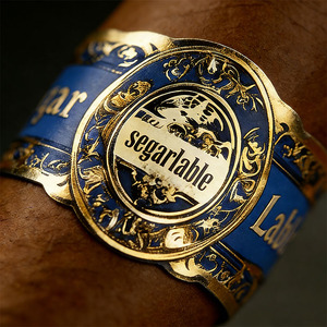 Bandes de cigarettes haut de gamme avec estampage à chaud et finition brillante, étiquette de cigare, emballage personnalisé de tube à cigare - Product Image 6