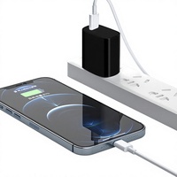 Chargeur mural rapide OEM 20W Type-C avec sortie PC3.0 5V/3A pour téléphones portables, appareils intelligents et écouteurs