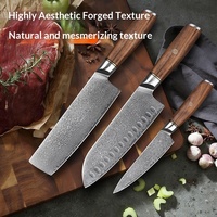 Ensemble de couteaux de cuisine en acier Damas, couteau à viande japonais, couteau Santoku, couteau à fruits, couteau de chef, traité thermiquement
