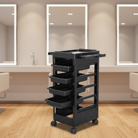 Factory Price Modern Plastic Living Room Salon <strong>Trolley</strong> 4-Wheel Durable Easy Moving Commercial Furniture