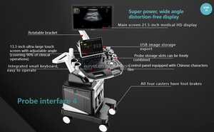 Eur Huisdier Accurate Draagbare Gebruikte Volledig Digitale 3d Kleur Doppler Echografie Diagnostische Scanner Prijs Voor Dierenziekenhuis - Product Image 4