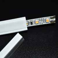 Tube en silicone IP65 12V RGB LED bande Flexible extérieur étanche Flex diffuseur séparé néon corde lumière pour voiture paysage