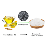 Entreprise manufacturière de premier plan vendant de la poudre d'huile de canola lyophilisée de haute qualité pour adultes