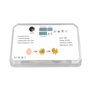 Incubadoras de Huevos de Gallina Tipo Blanco, Incubadoras para Incubar Huevos, 15 Huevos de Gallina con Comedero y <span class=keywords><strong>Bebedero</strong></span> - Product Image 6