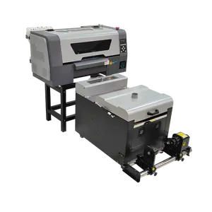 Direct Naar Pet Film Overdracht Drukmachine 30Cm A3 Xp600 Printers 24 Inch Dual Head Dtf Printer Shaker Droger Nieuwe Staat