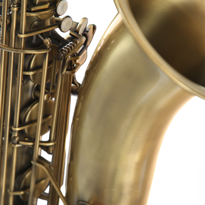 <span class=keywords><strong>Sassofono</strong></span> Baritono Professionale Eastern Music BS400Q in Mib con Faggiole Alte, Finitura Bronzo Anticato #   Tasto Front F - Product Image 6