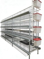 Nouveau système de cages à poules pondeuses de type H en acier inoxydable pour l'élevage avicole, avec collecte automatique des œufs et élevage de poulets de chair