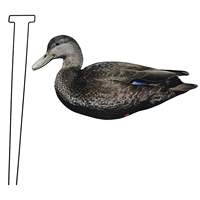 Leurres de canard de chasse réalistes à l'extérieur