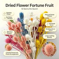 Bunga Kering Awet Dipsacus Sativus Eryngium Sea Holly 10 Buah Bunga Buah Thistle Besar Dekorasi Langit-langit Rumah Pernikahan