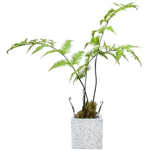 Sell like hot cakes Artificial tree fern Artificial green Plant Potted Artificial plant for outdoor or indoor decoration