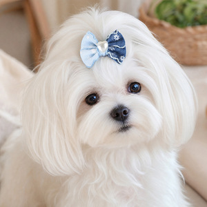 Fournitures pour animaux de compagnie, chiots de petite taille, animaux mignons, photos de style urbain, dessin animé, adorable, denim, nœud, pinces BB, accessoires, cheveux - Product Image 3
