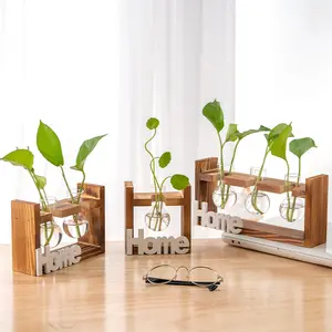 Jarrones de Vidrio Creativos con Marco de Madera al por Mayor, Jarrones Modernos y Sencillos para Decoración de Sala de Estar, Jarrón para Plantas Verdes - Product Image 1