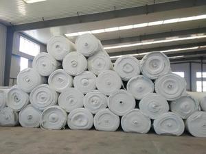 Tessuto Geotessile Non Tessuto Agugliato in Fibra di Poliestere su Misura per Costruzione Stradale e Drenaggio di Discariche - Product Image 5