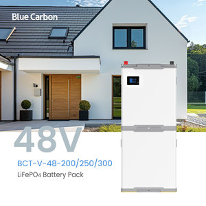 Batería LiFePO4 de carbono azul 48V 200Ah 250Ah 300Ah 6000 ciclos 10KWh 12KWh 15KWh Paquete de batería de litio solar - Product Image 5