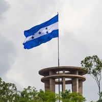 Bandera Personalizada de Alta Calidad 3x5 pies, Ligera, Resistente a Desgarros, Poliéster Azul Blanco 5 Estrellas