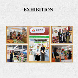 ซอสเนื้อหนาพาสต้ากับซอสมะเขือเทศปาเก็ตตี้โบโลเนส - Product Image 5