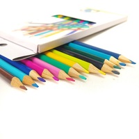 12 crayons de couleur à double pointe en bois, personnalisation en gros, promotion de cadeaux pour l'école et le bureau