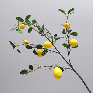 Nhựa chanh cam táo chi nhánh nhân tạo trái cây twig Tabletop trang trí đạo cụ mô phỏng trang trí nhà - Product Image 5