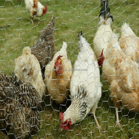 Rouleau de treillis métallique hexagonal galvanisé pour poulets Cages hexagonales en PVC pour poulets et lapins Filet métallique en fer pour cage d'animaux