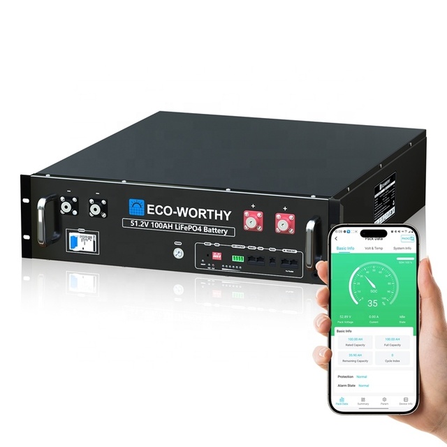 Eco-worthy 51.2V 100AH LiFePO4 Lithium-Ion Battery Pack for Solar Home Energy Storage 5KWh CAN Rack-Mounted IP55 Protection