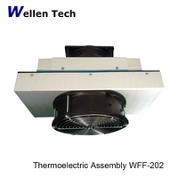 Dispositifs de refroidissement à l'air thermoélectriques WFF-202W-24V durables de silicium de refroidisseur de Peltier pour des modules de gaufrette de semi-conducteur