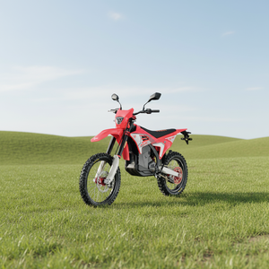 Motocicleta Eléctrica Leopard EXE L3E, 39kW, 90V, 75Ah, 880NM, Profesional para Adultos - Product Image 2