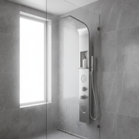 304 acier inoxydable miroir double poignée robinets thermostatiques étagère de rangement panneau de douche avec massage doux et motifs de pulvérisation de pluie