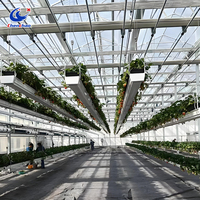 Bac de culture surélevé réglable pour plantes, gouttière hydroponique, système de plantation verticale pour serre