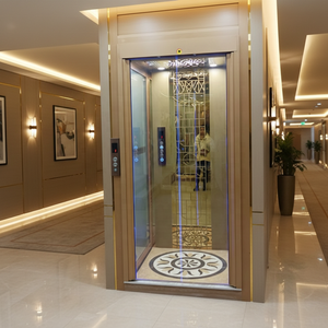Ascenseur résidentiel automatique à double porte <span class=keywords><strong>pour</strong></span> hôtel, bureau, <span class=keywords><strong>maison</strong></span>, 3 étages, 450 kg, 5 personnes, ascenseur <span class=keywords><strong>pour</strong></span> <span class=keywords><strong>maison</strong></span> - Product Image 1