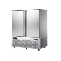 Refroidisseur de congélateur à congélation rapide IQF à 1 porte commercial Congélateur industriel automatique Ray's Shock Freezer pour la viande de poisson en Malaisie