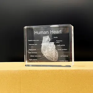 K9クリスタル3Dヒューマンハートクリスタルモデル、家庭およびオフィスの装飾用のレーザーエッチング解剖学モデル、心臓病ギフト