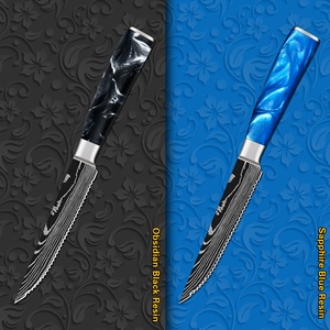 Saffierblauw Hars Handvat 5 Inch 67 Lagen Vg10 Servies Bestek Damascus Staal Gekarteld Mes Steak Mes Met Geschenkdoos - Product Image 6