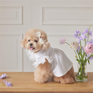 Jupe de luxe tendance pour animaux de compagnie, style princesse, avec dentelle en polyester, pour chiots, collection été-printemps - Product Image 3