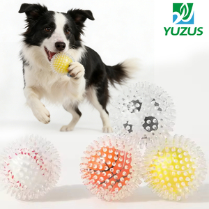 Wholesale Eco Friendly TPR <strong>Dog</strong> <strong>Toy</strong> Squeaky Interactive Movement Transparent Burr Chew Training <strong>Dog</strong> <strong>Toy</strong> - Product Image 1