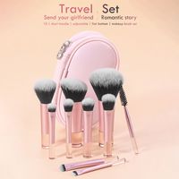 Fournisseur Premium 10 couleur rose manche court portable poudre libre blush fard à paupières maculé maquillage ensemble de pinceaux avec sac de rangement
