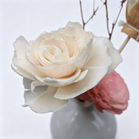 Stik Diffuser Reed Kayu Sola 6cm Motif Bunga Peony Daun Patah Buatan Tangan Dapat Diwarnai Dekorasi Rumah untuk Hadiah Pernikahan