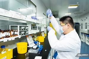 1-Metil-4-Nitrosopiperazin Barang Siap Kirim Kotoran Kimia Nitrosamin untuk Layanan Penelitian Kualitas Farmasi Cakupan Global - Product Image 4