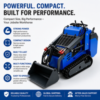 Chargeuse compacte sur chenilles, mini-chargeuse hydraulique, moteur Runtong, alimentation essence, haute efficacité, garantie 1 an