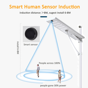 2025 mới tích hợp cảm biến con người Dự Án sử dụng sản phẩm IP65 40W 50W 60W 80W 100W Công viên đường dẫn năng lượng mặt trời ánh sáng đường phố - Product Image 5