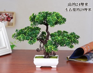 E-3049 Descuento por tiempo limitado Planta bonsái en maceta de plástico Bonsái de pino para decoración del hogar - Product Image 6