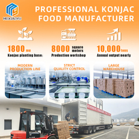 Wholesale Factory OEM Low-Carb Meal Replacement Lose Weight Instant Shirataki Pasta Konjac Noodles in Bag