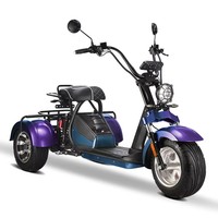 Tricycle électrique Loyal à 3 roues, scooter à double moteur 4000W, GPS, pliable, étanche, batterie au lithium 20AH, 50 km/h